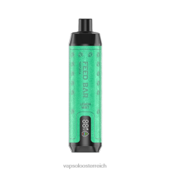 Vapsolo Geschmack - VapSolo SHISHA Einweg-Vapor Zitronenminze 40PL27