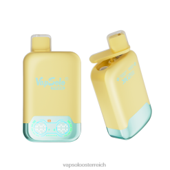 Vapsolo Geschmack - VapSolo TWINS Einweg-Vapor Ananas-Kokosnuss und Erdbeer-Banane 40PL231