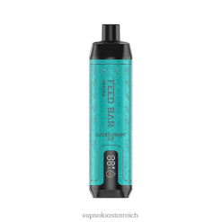 Vapsolo Kaufen - VapSolo SHISHA Einweg-Vapor schwarzes Johannisbeereis 40PL22