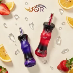 UOR Al Bang 300.000 Züge Dualmodus MTL & DTL 60 ml Einweg-Vape