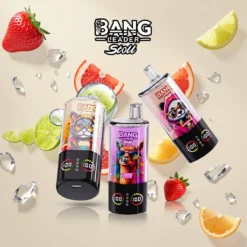 Bang Leader Stoll 100.000 Züge 4-in-1-Aromenkombination Vape