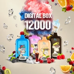 Fumot Randm Digital Box 12000 Züge Erdbeer-Wassermelone 20ml Typ-C