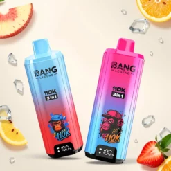 Bang Legend 110.000 Züge Dreifach-Geschmack 1,0Ω Mesh Coil 600mAh